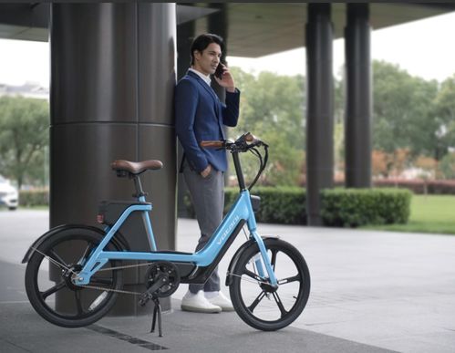 融匯歐式生活態(tài)度 votani沃達尼電動自行車與網(wǎng)絡設備
