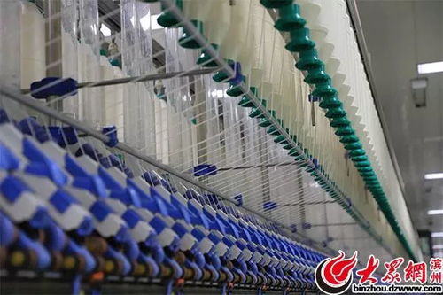 萬錠用工僅10人，魏橋紡織引領(lǐng)全球智能化變革驚艷網(wǎng)絡(luò)媒體