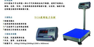 TSC系列電子臺秤 哈爾濱衡器有限責任公司銷售分公司的電子產(chǎn)品銷售解決方案